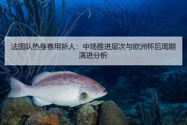 法国队热身赛用新人：中场推进层次与欧洲杯后周期演进分析