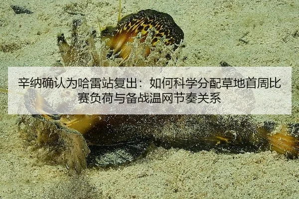 xin-na-que-ren-wei-ha-lei-zhan-fu-chu-ru-he-ke-xue-fen-pei-cao-di-shou-zhou-bi-sai-fu-he-yu-bei-zhan-wen-wang-jie-zou-2-466.jpg