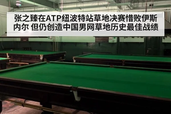 张之臻在ATP纽波特站草地决赛惜败伊斯内尔 但仍创造中国男网草地历史最佳战绩